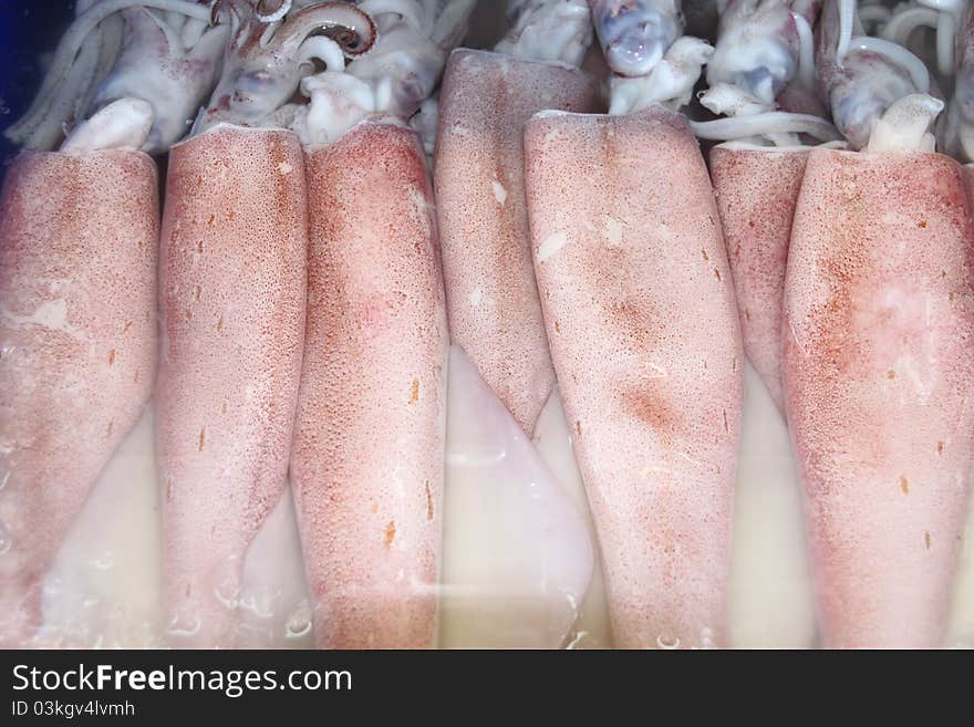 Squids on ice in open seafood supermarket