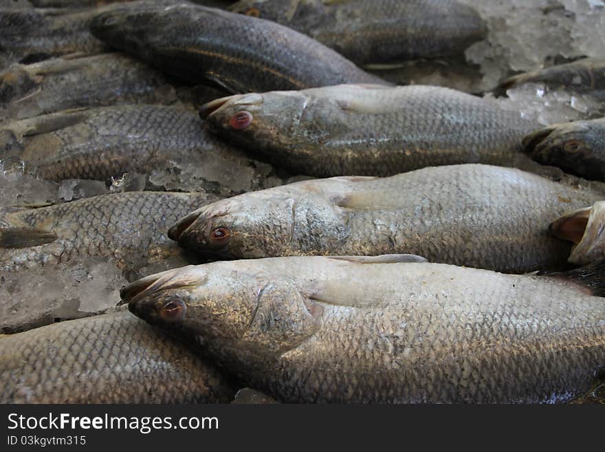 Fishes on ice in open seafood supermarket