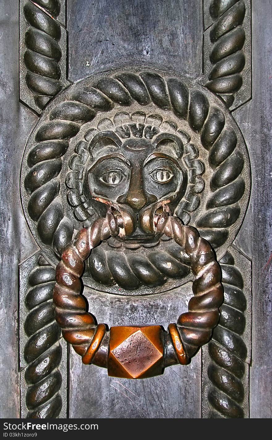 The door handle in the shape of a lion. Metal ornament. The door handle in the shape of a lion. Metal ornament.