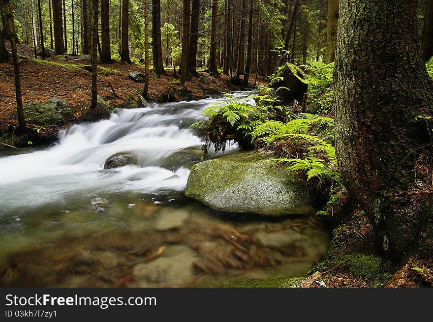 Alpine stream in the valley Žiarska. Alpine stream in the valley Žiarska