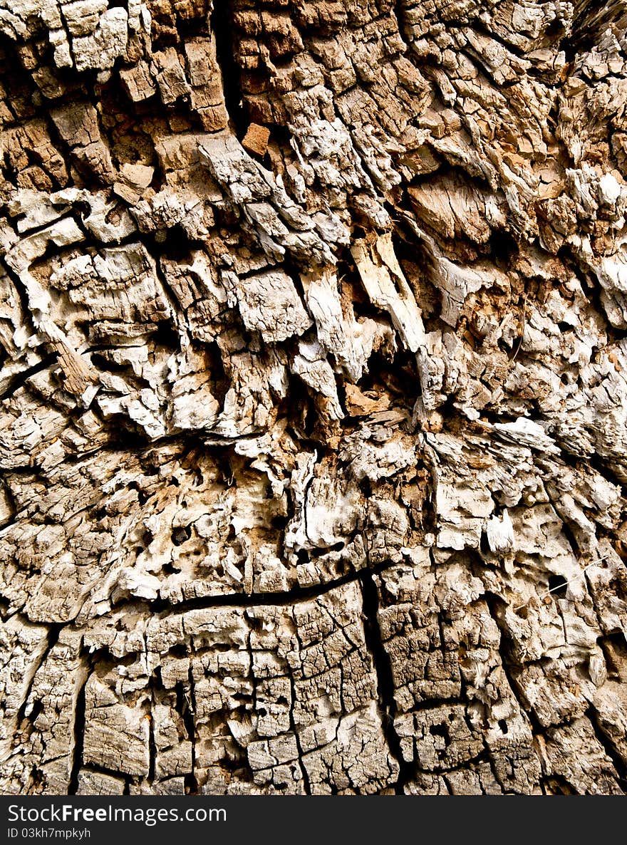 Texture of cracks on old wood