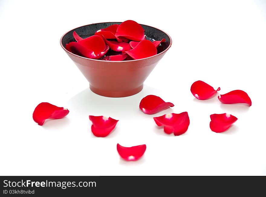 Red Roses with plate of flowers on white background. Red Roses with plate of flowers on white background