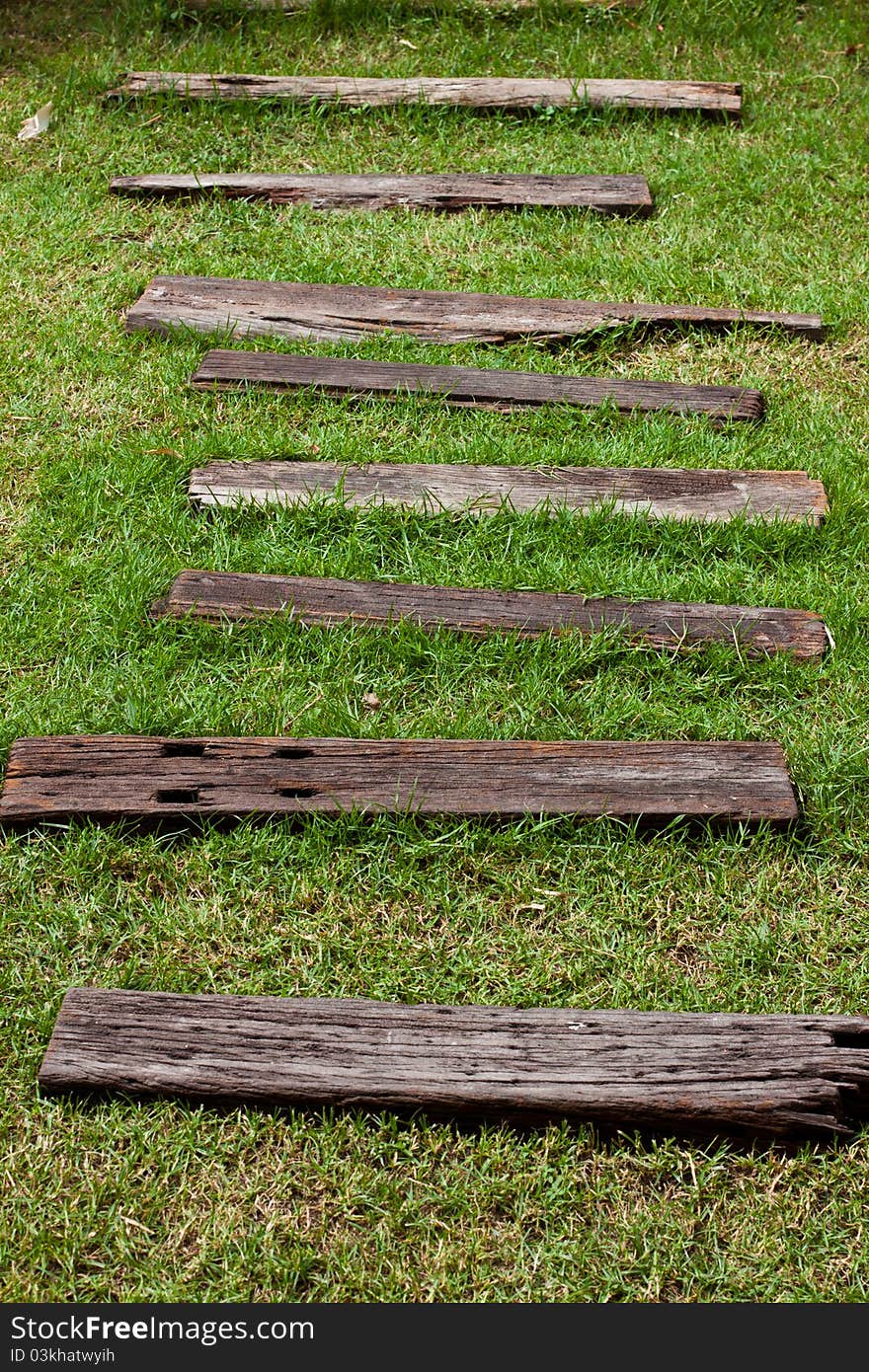 Walkway in the garden