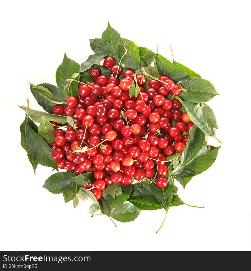 Cherry in leaves