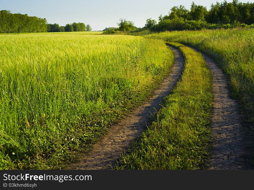 Turning pathway on the green field