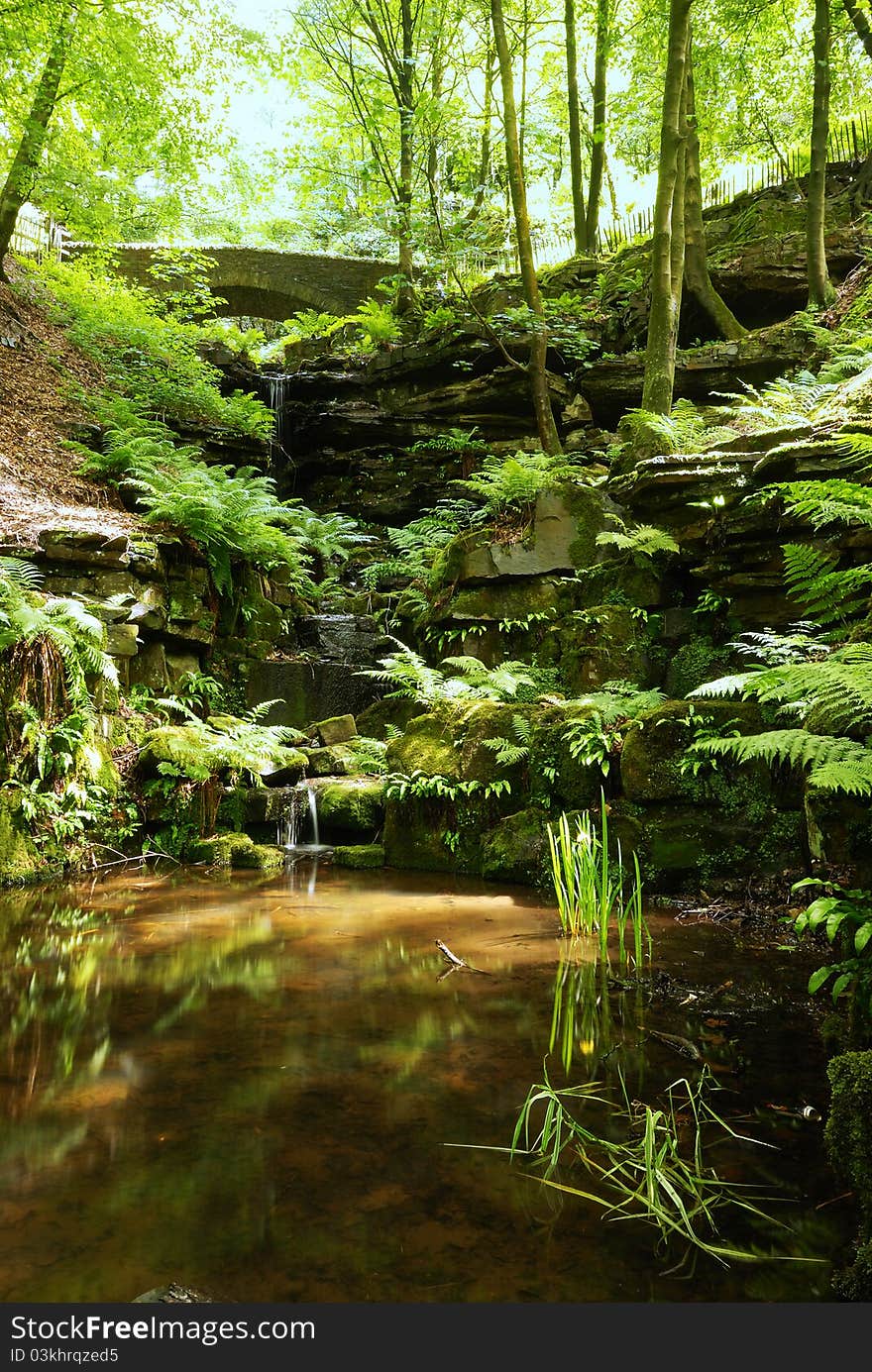 The River at Rivington, England. The River at Rivington, England