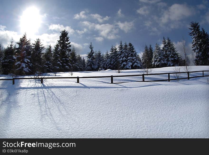 Winter woods on a background of blue sky overcast. wooden fence. Winter woods on a background of blue sky overcast. wooden fence