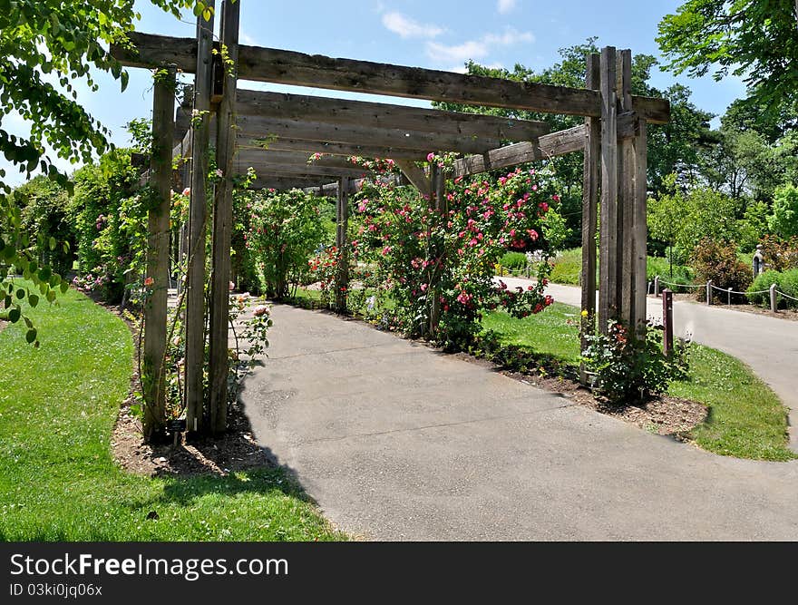 Floral Arch