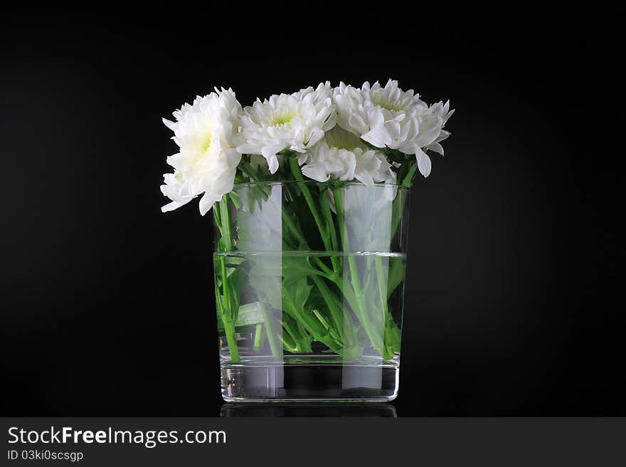 Ouquet of white daisies in clear glass vase,. Ouquet of white daisies in clear glass vase,