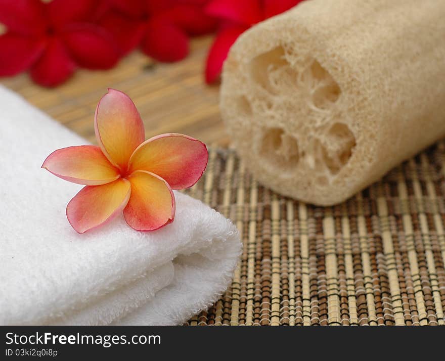 Frangipani on white towel and other spa accessories. Frangipani on white towel and other spa accessories