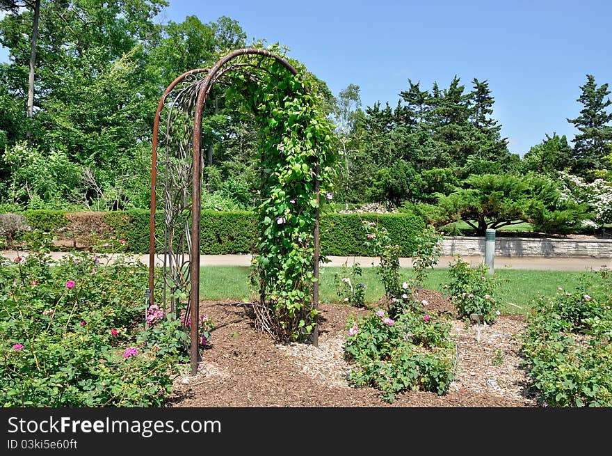 Floral Arch