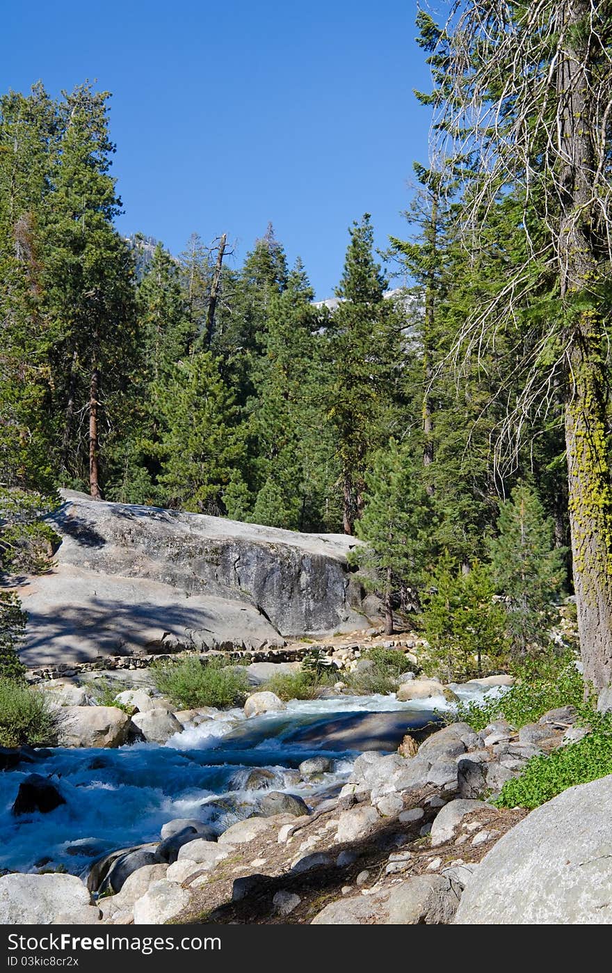 Sequoia National Forest, California, USA