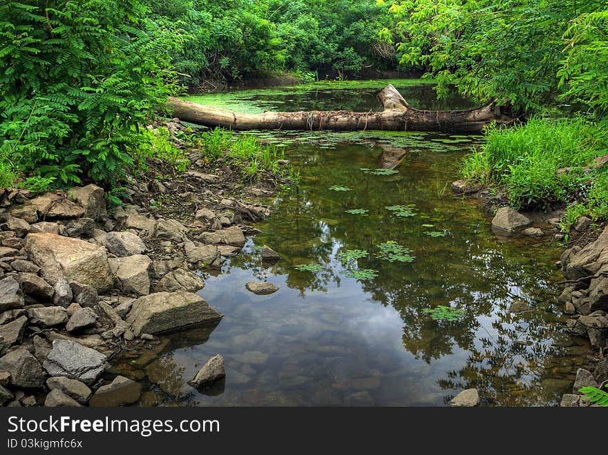 Log and stones in transparent water of forest lake. HDR image. Log and stones in transparent water of forest lake. HDR image