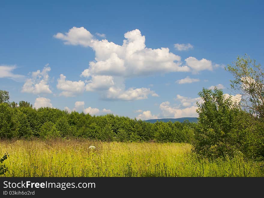 Summer Landscape With Blue Cloudy Sky