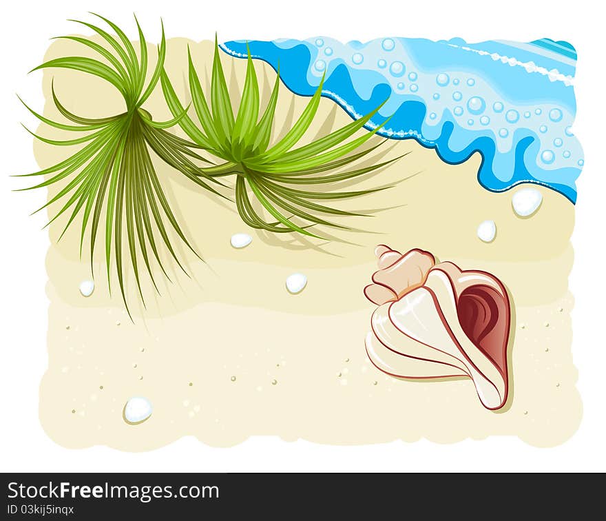 Seashell with palm leafs and ocean wave