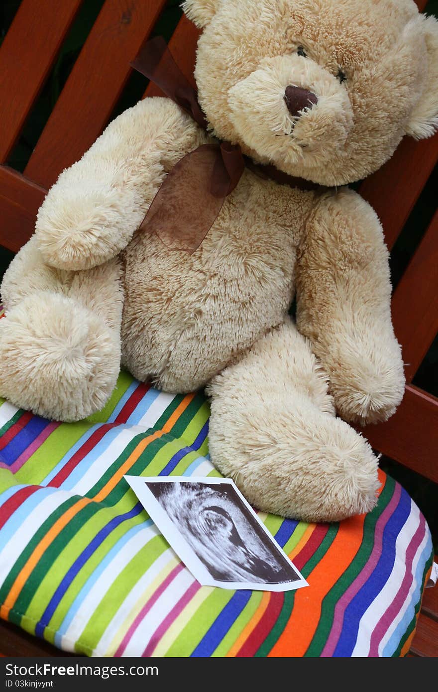 Teddy bear and baby ultrasound