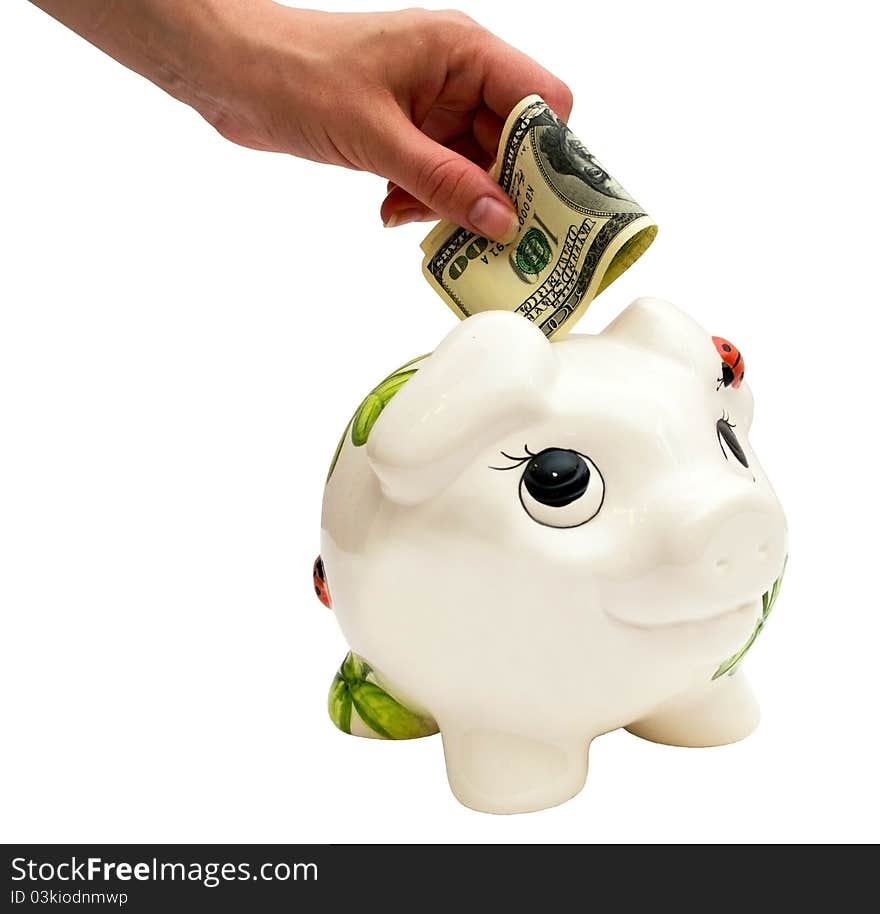 Piggy Bank And Dollar