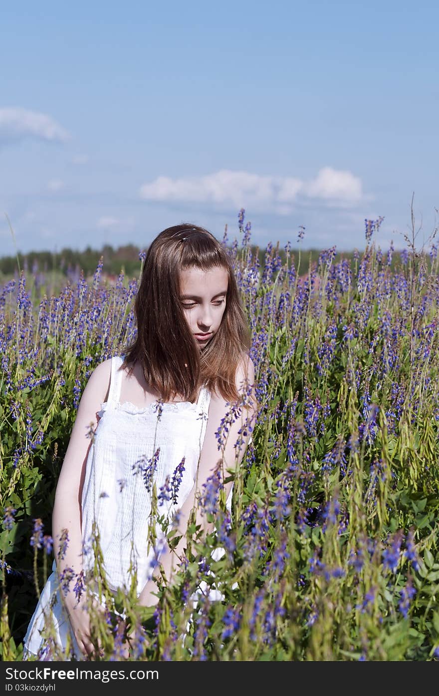 Young girl walking in a meadow among flowers. Young girl walking in a meadow among flowers