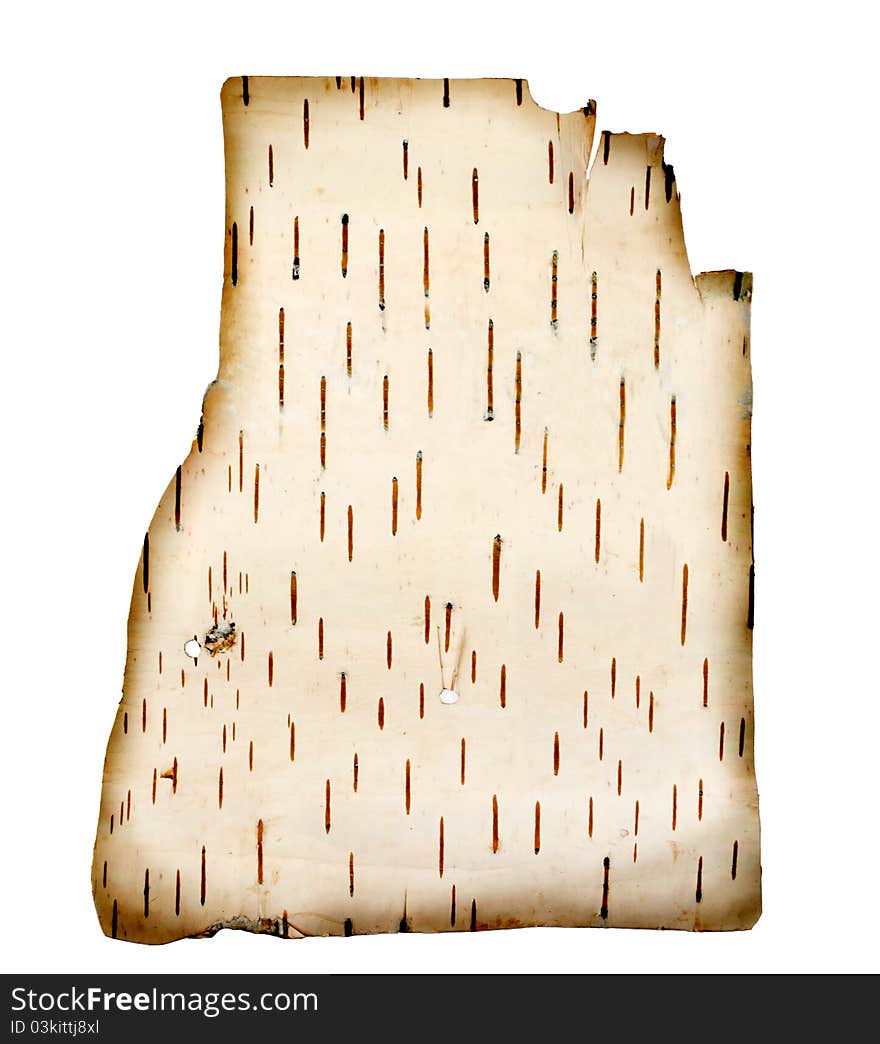 Old birch bark on a white background