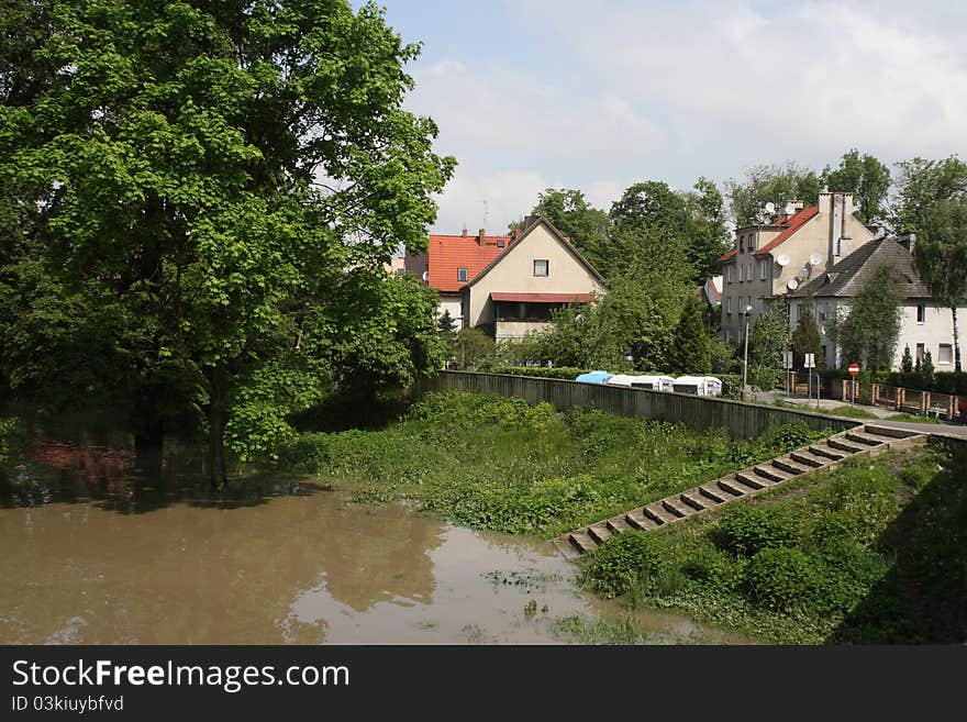 Flooded forest during the floods in Opole