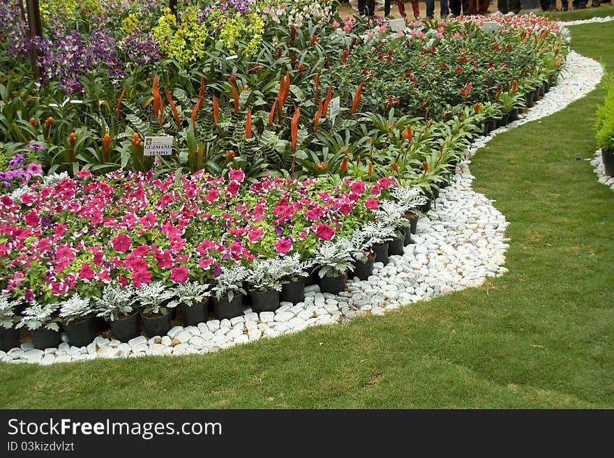 Flowers, Pebbles and Grass