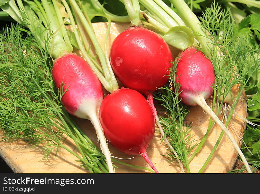 Radishes and greens on a cutting board