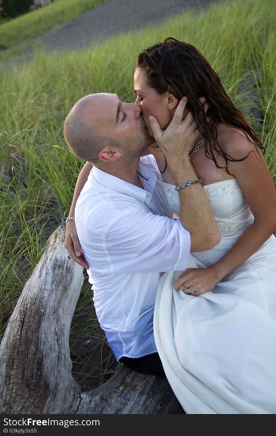 A groom kissing bride resting on log. A groom kissing bride resting on log