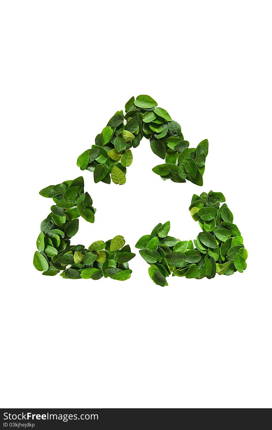 Recycle icon made of green leaves