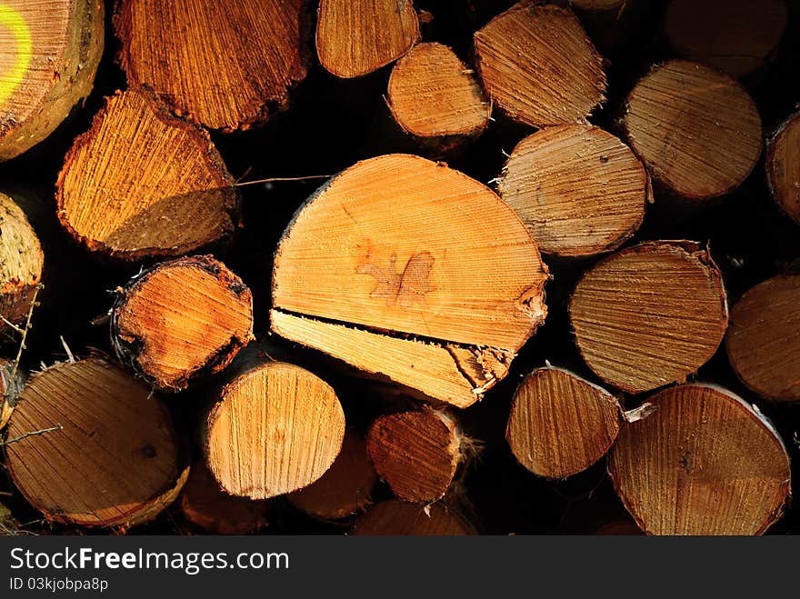 Felled Trees