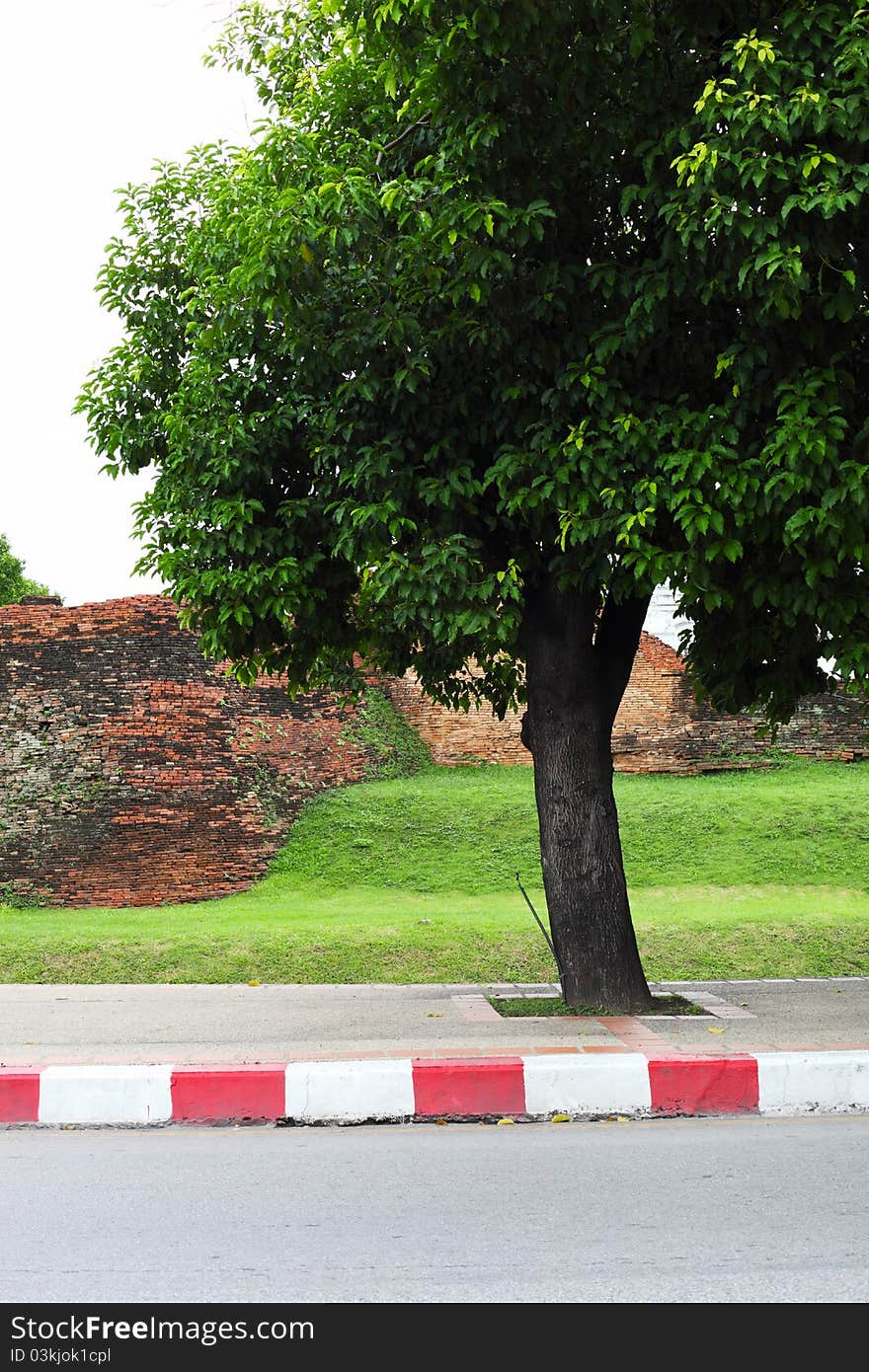 Big trees and old walls on the streets