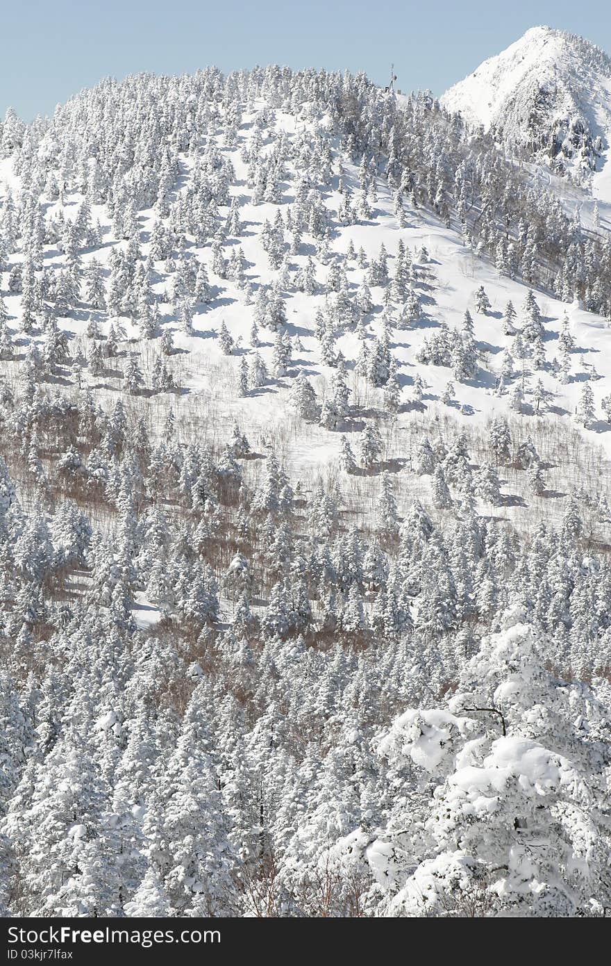 Snow mountain in winter time Japan. Snow mountain in winter time Japan