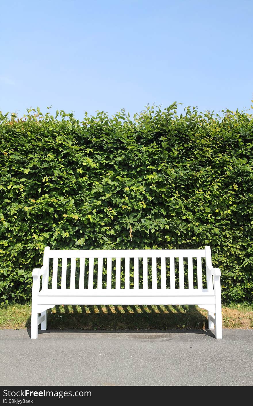 Empty white wooden bench in park. Empty white wooden bench in park