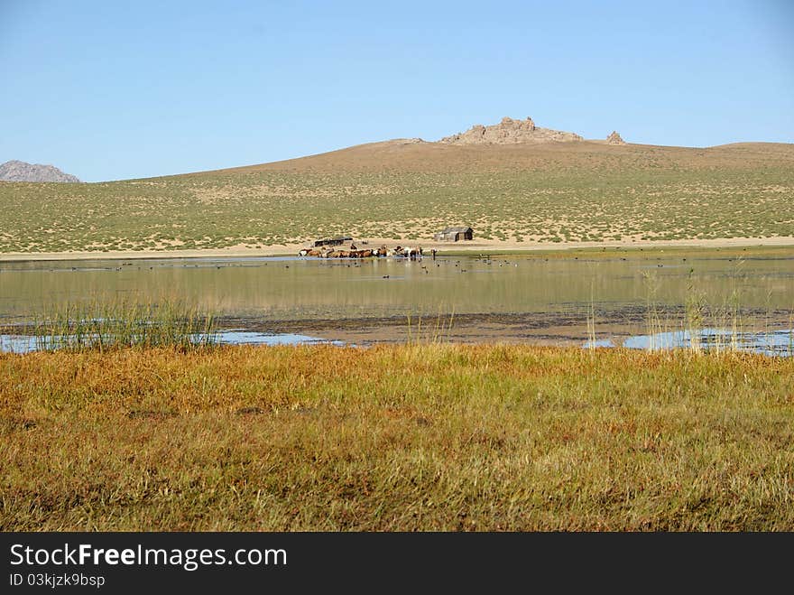 Landscape in Mongolia