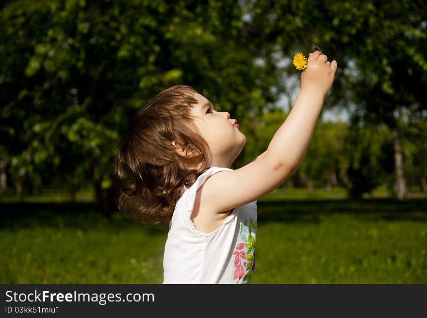 The girl looks at a dandelion in park. The girl looks at a dandelion in park