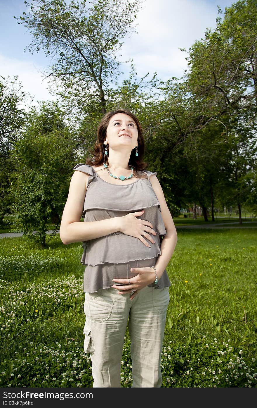 Portrait Of The Beautiful Pregnant Woman