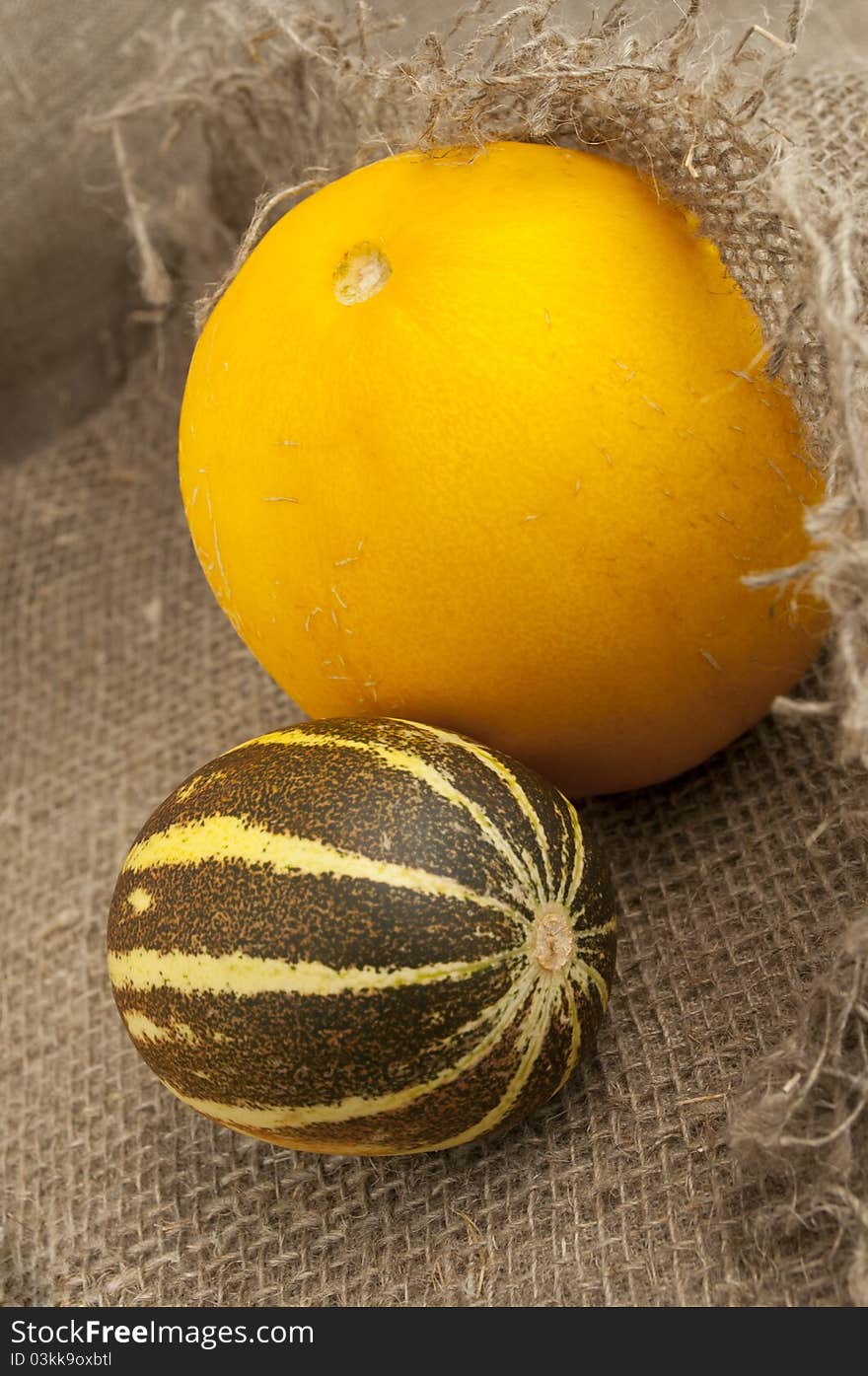 Two full melon on a background of rough cloth