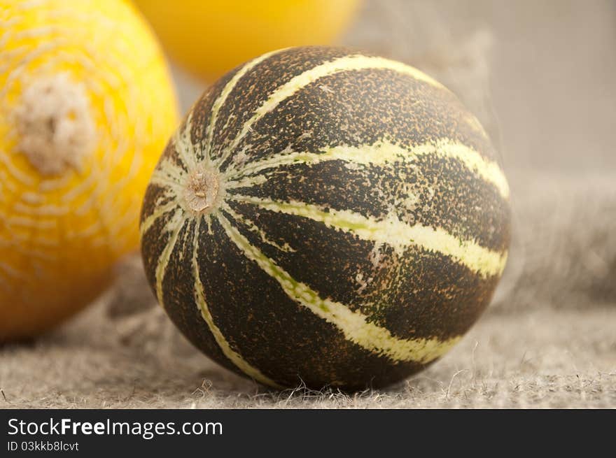 Two full melon on a background of rough cloth