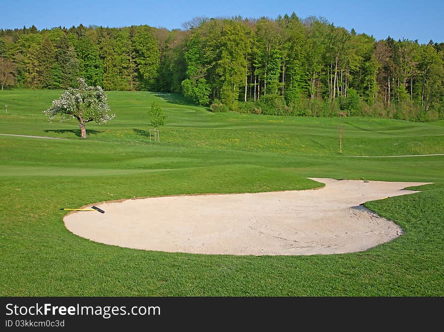 Golf on the green grass of the golf course