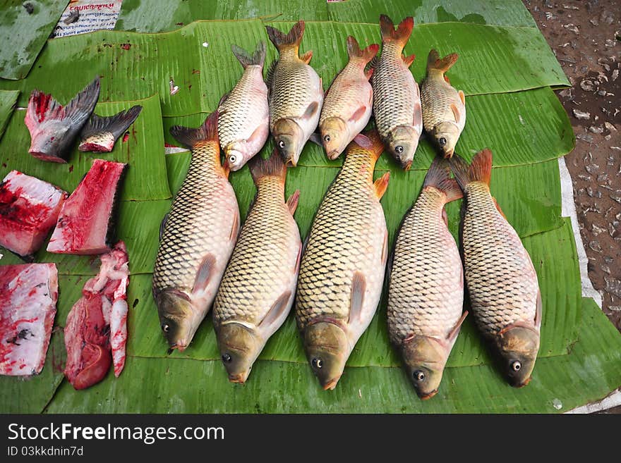 Fresh Fish recently caught from the river of Laos. Sold in Fresh market in a cheap price. Fresh Fish recently caught from the river of Laos. Sold in Fresh market in a cheap price.