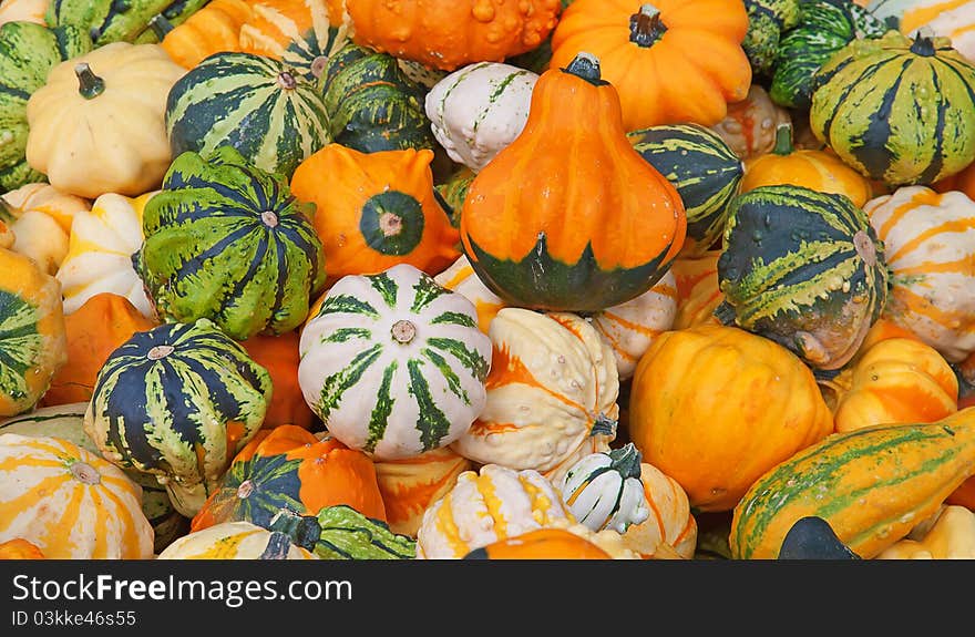 Colorful pumpkins