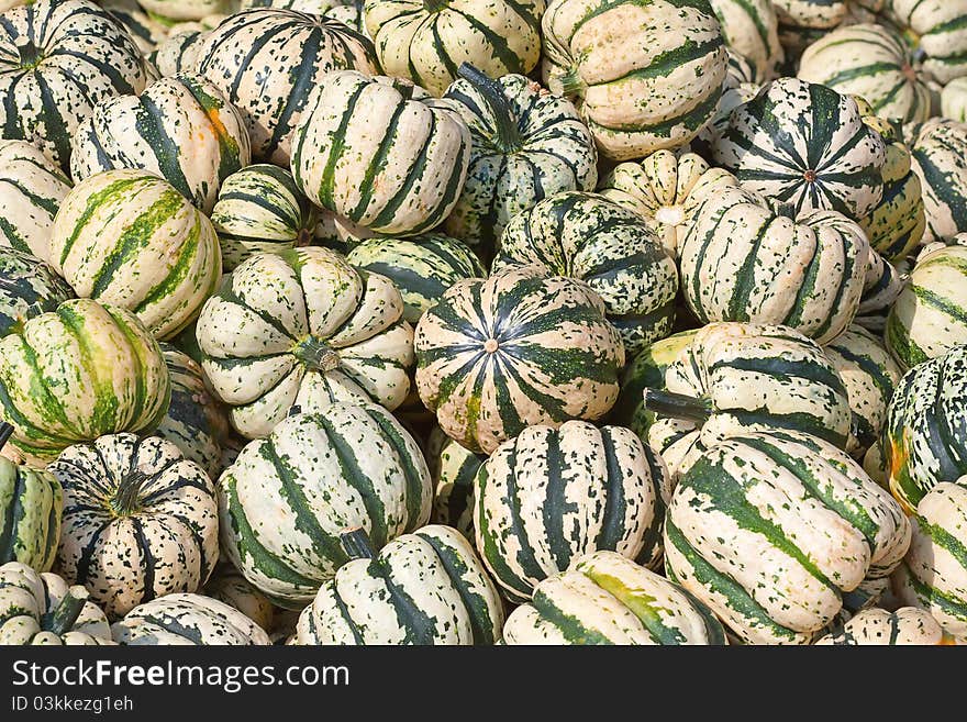 Colorful Pumpkins