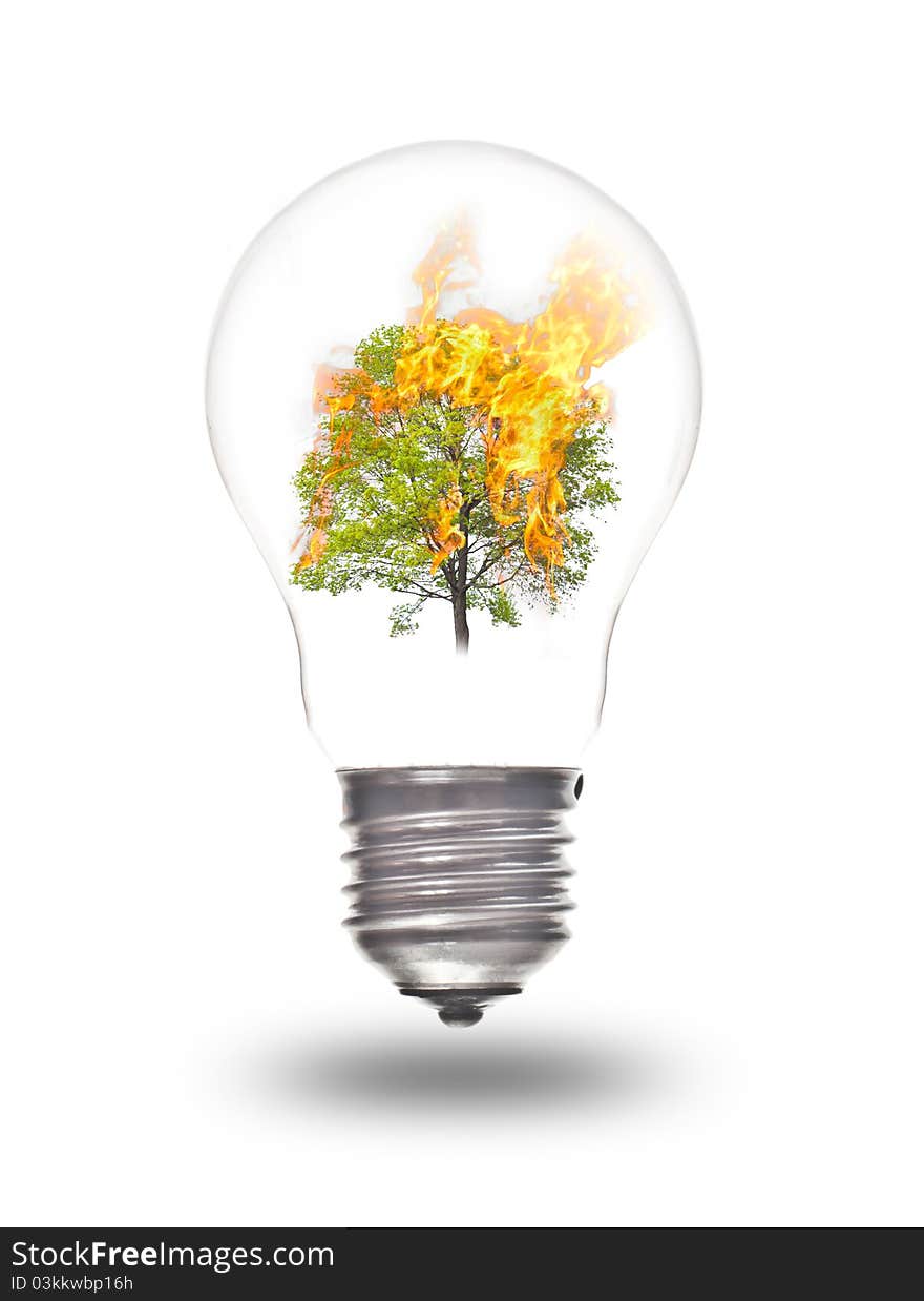 Light bulb with burning tree inside isolated on white. Environmental concept Renewable Energy