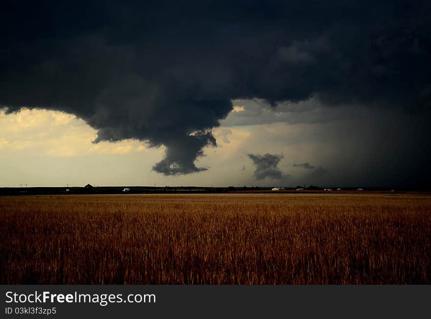 Ominous clouds over a wheat field in Colorado. Ominous clouds over a wheat field in Colorado