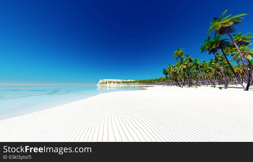 The horizon and palm tree. The horizon and palm tree