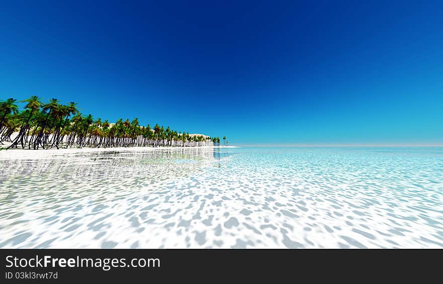 The horizon and palm tree. The horizon and palm tree