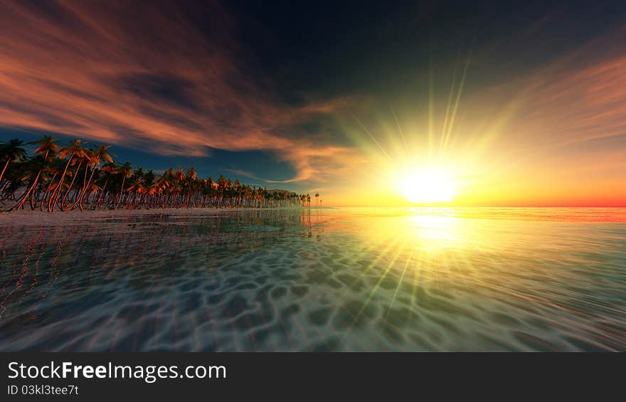 The horizon and palm tree. The horizon and palm tree