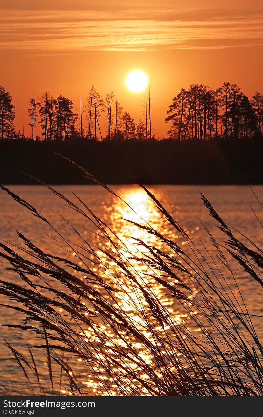 Sunrise over the Siberian lake. The grass in the sun. Аutumn