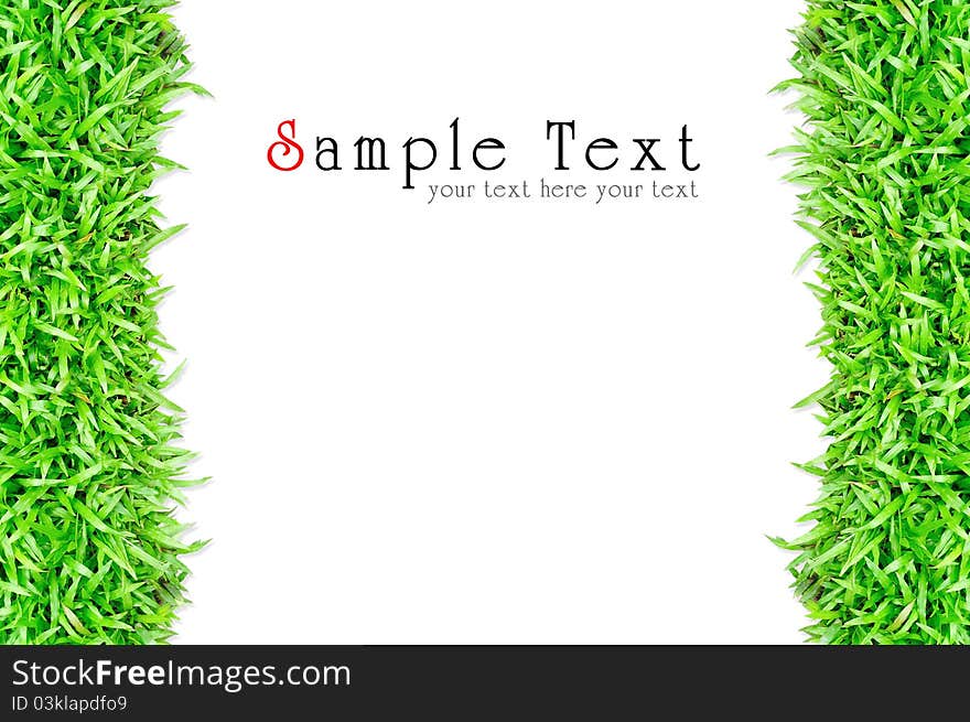 Grass frame in white background. Grass frame in white background