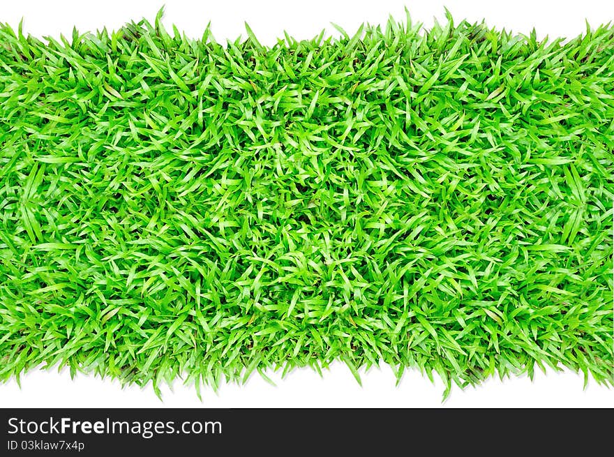 Grass frame in white background. Grass frame in white background