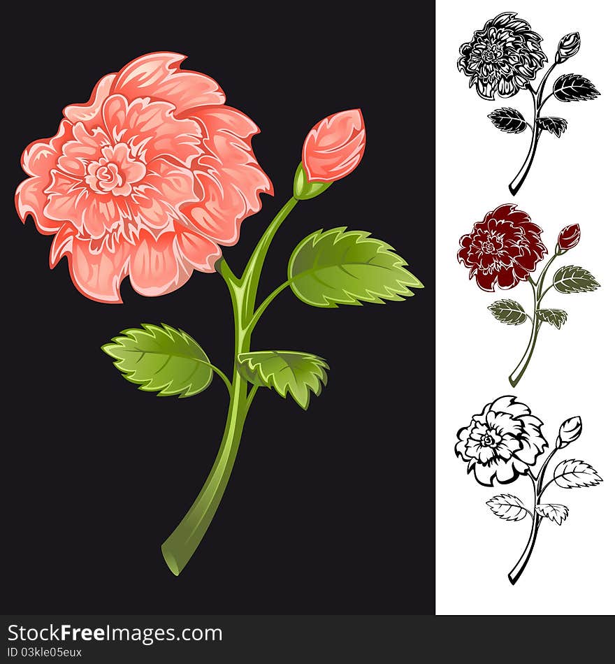 Collection of flowers of different colors. Vector.